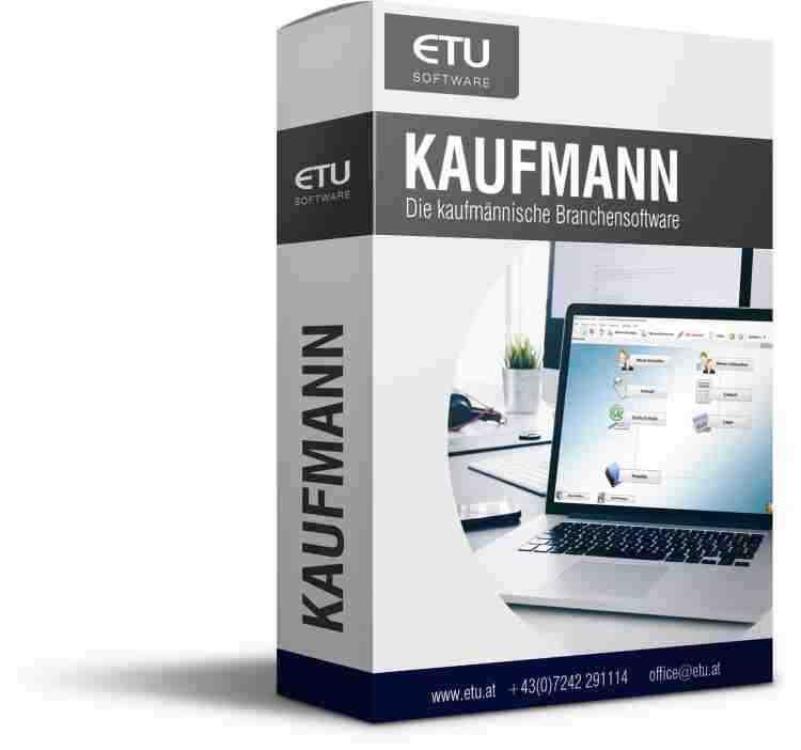 Kaufmann Professional Vollversion (Einzelplatz)